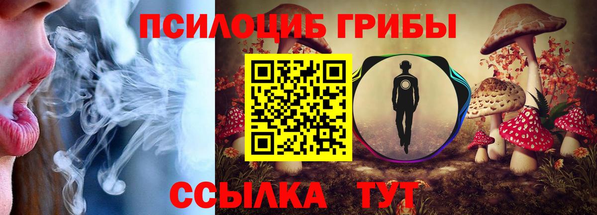 Псилоцибиновые грибы Cubensis Урай